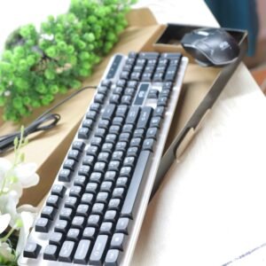 Gigasonic Luminous G5 gaming keyboard & Mouse Combo